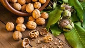 walnuts benefits superfood 300x169 - خواص خوراکی ها 4