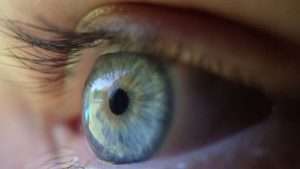 cornea 300x169 - چشم