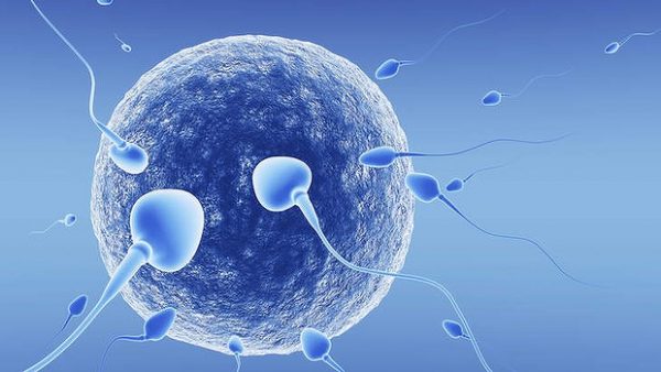 اسپرم شاخص - علت ناباروری در مردان چیست؟