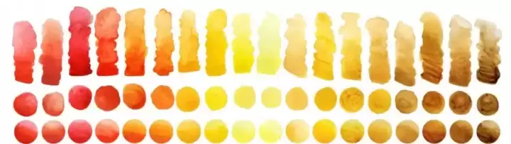 رنگ ادرار : نشانه ها، تشخیص و فرایند درمان Pee colors chart 1024x288 1 720x203 - رنگ ادرار : نشانه ها، تشخیص و فرایند درمان