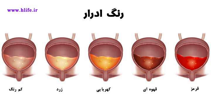 urine-color-hlife.ir رنگ ادرار
