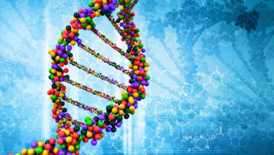 ژنوم شاخص 390x220 - دانشمندان ارگانیسمی با ژنوم کاملا مصنوعی خلق کردند!