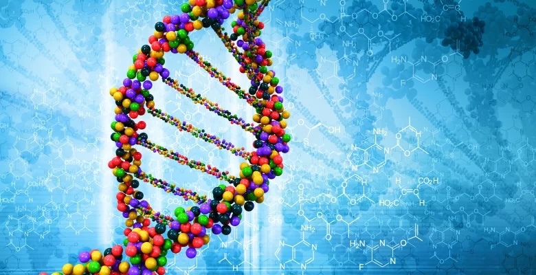 ژنوم شاخص 780x400 - دانشمندان ارگانیسمی با ژنوم کاملا مصنوعی خلق کردند!