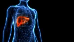 human liver 300x169 - 33 دانستنی شگفت انگیز که شما در مورد بدن خود نمی دانید