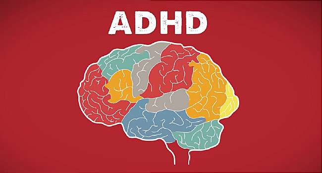 animated explainer brain on adhd بیش فعالی یا ADHD