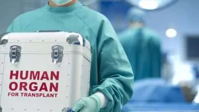 human organ for transplant