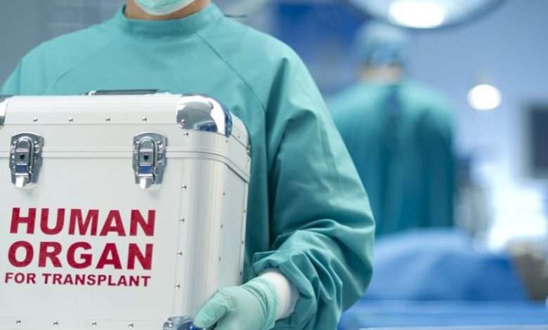 human organ for transplant