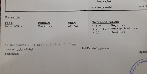 eaca4701 2e94 48f4 a794 a97e45bb417e - آزمایش بارداری، یک آزمایش هیجان انگیز برای زوج ها