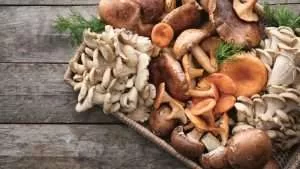mushrooms 300x169 - بهترین مکمل ها برای تقویت سیستم ایمنی در برابر کروناویروس
