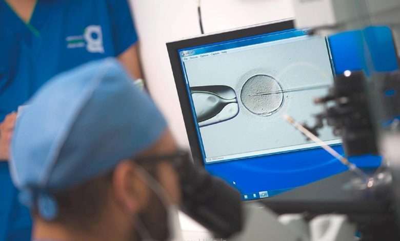 IVF - امید برای زوج های نابارور 2 In Vitro Fertilization IVF 780x470 - IVF - امید برای زوج های نابارور