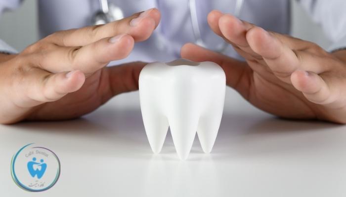 53e7368e 02c3 439b 95f1 678a6aed1d5e 1 - آشنایی با ابزار قالب گیری دندانپزشکان در فروشگاه معتبر خرید مواد دندانپزشکی