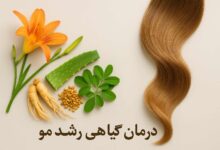 درمان گیاهی برای رشد مو