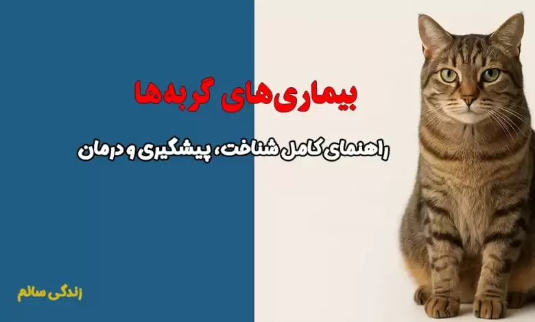 بیماری های گربه ها