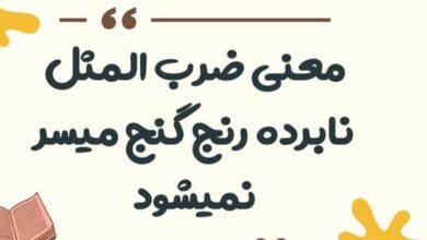 معنی ضرب المثل نابرده رنج گنج میسر نمیشود