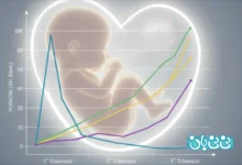 تغییرات هورمونی در هفته اول بارداری