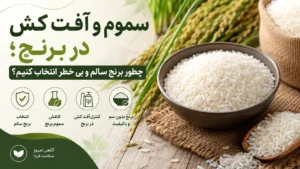 سموم و آفت کش در برنج؛ چطور برنج سالم و بی خطر انتخاب کنیم؟