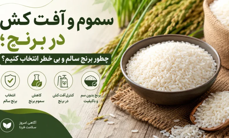 سموم و آفت کش در برنج؛ چطور برنج سالم و بی خطر انتخاب کنیم؟